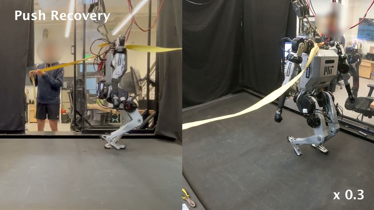 Preview of Learning Humanoid Arm Motion via Centroidal Momentum Regularized Multi-Agent Reinforcement Learning